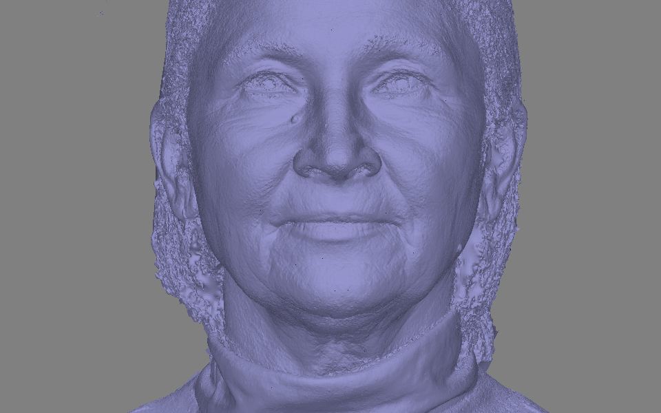 Pore Detail of a 3D Scan