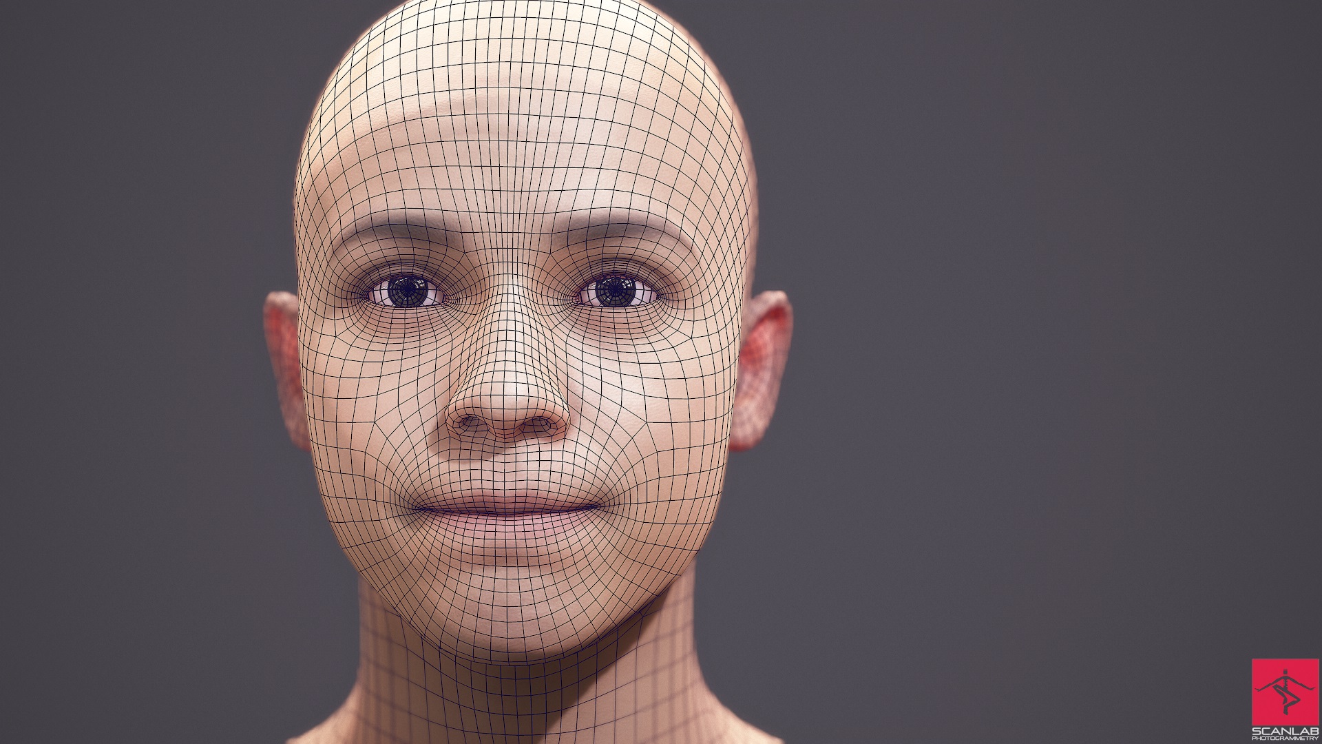 Face 3D Scans