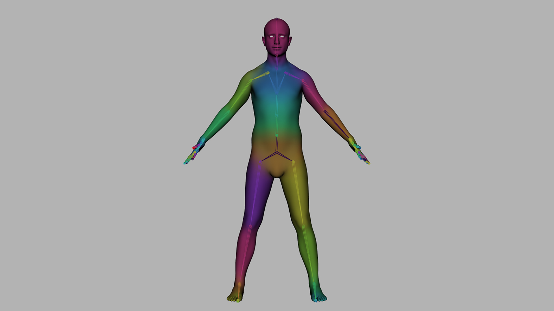 Body Geometry